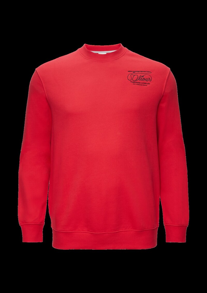 Sweatshirt mit Stickerei