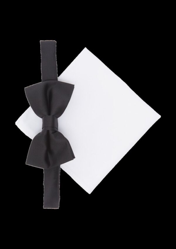 Elegantes Set aus Fliege und Einstecktuch