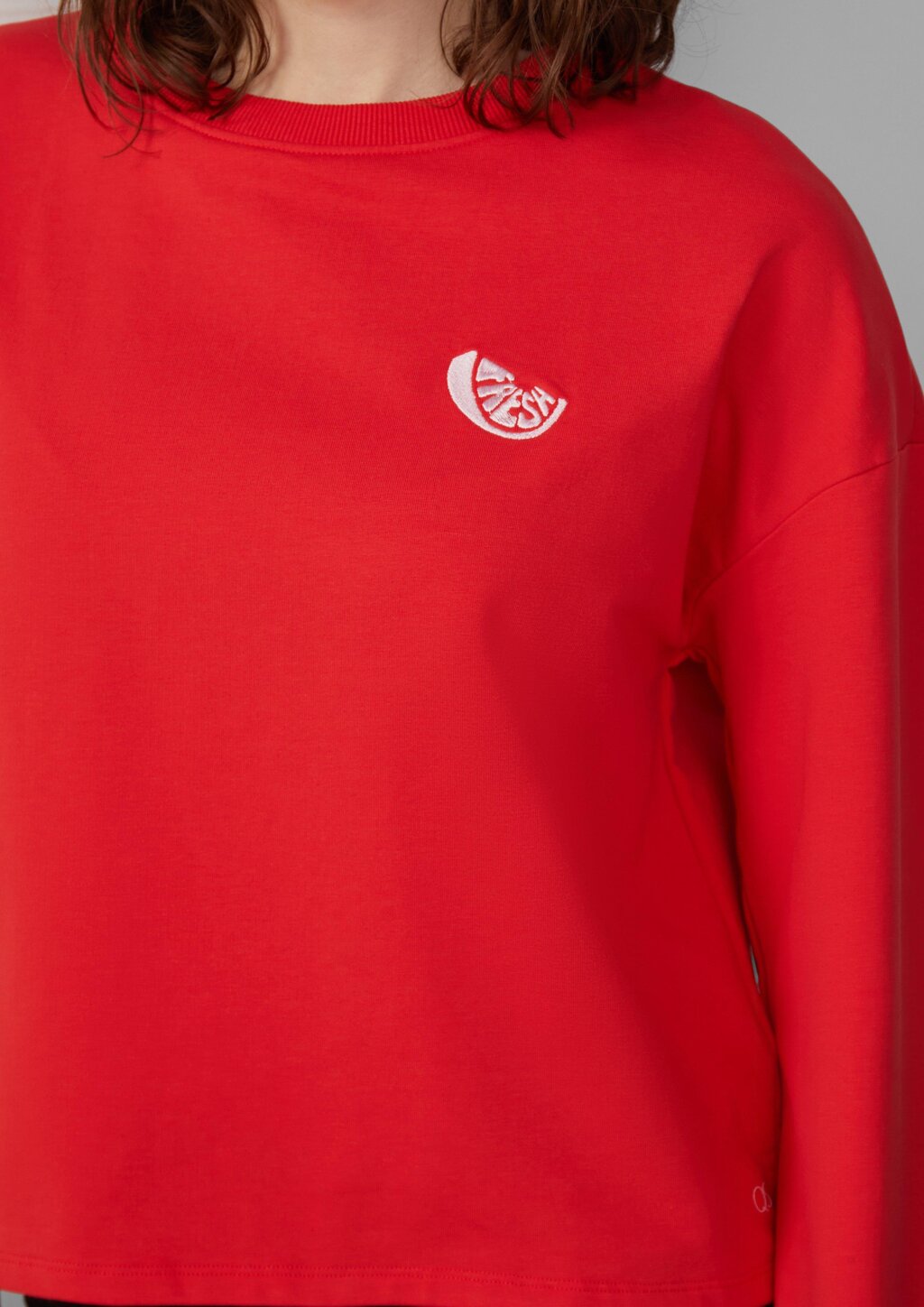 Sweatshirt mit Stickerei