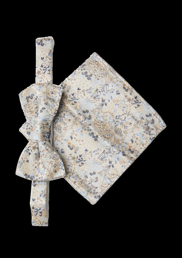 Set aus Fliege und Einstecktuch aus Seidenmix