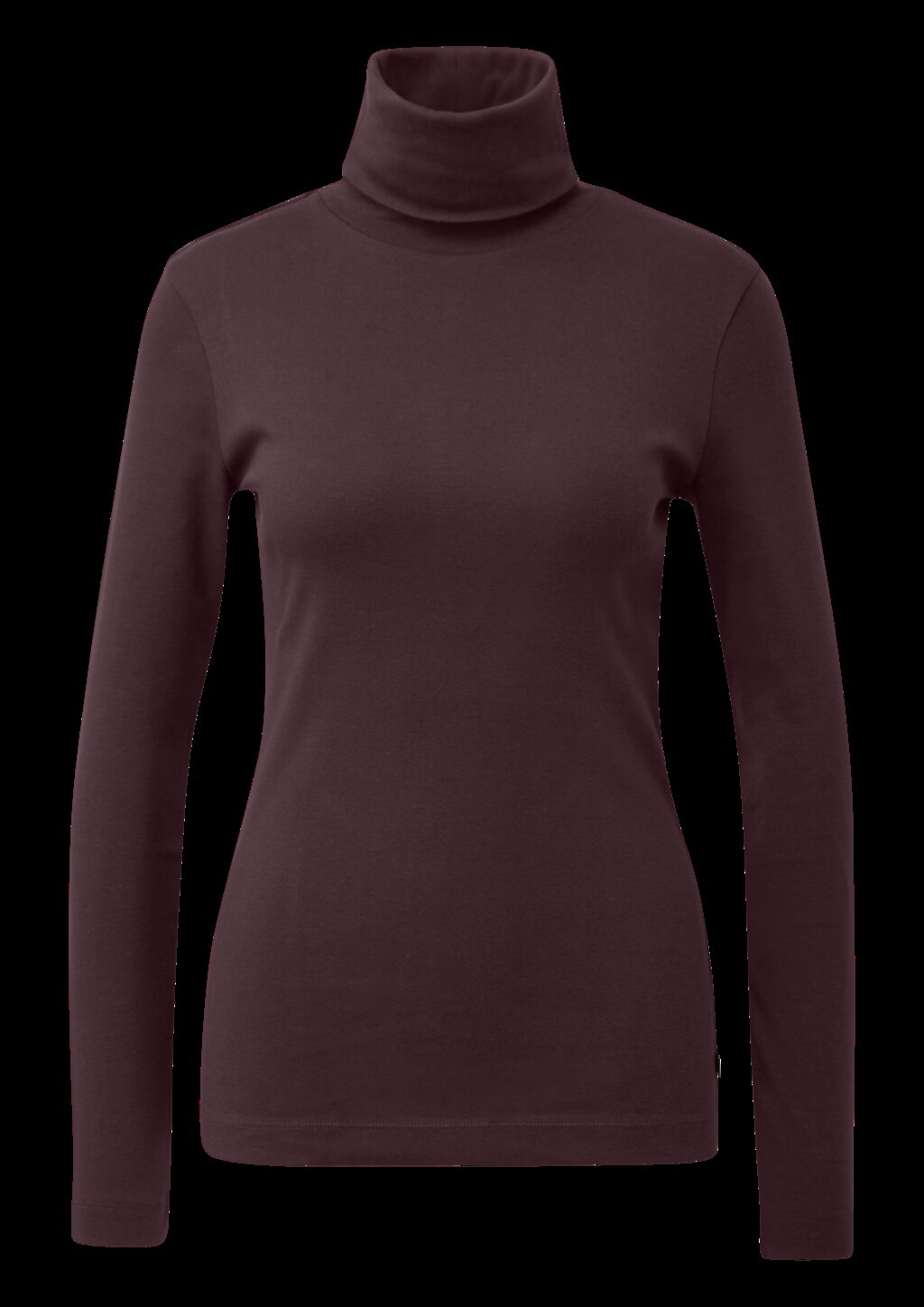 Langarmshirt mit Rollkragen