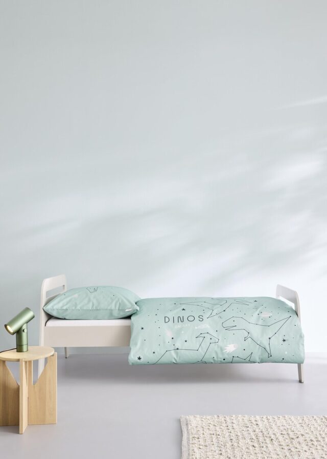 Bettwäsche mit Dinomuster