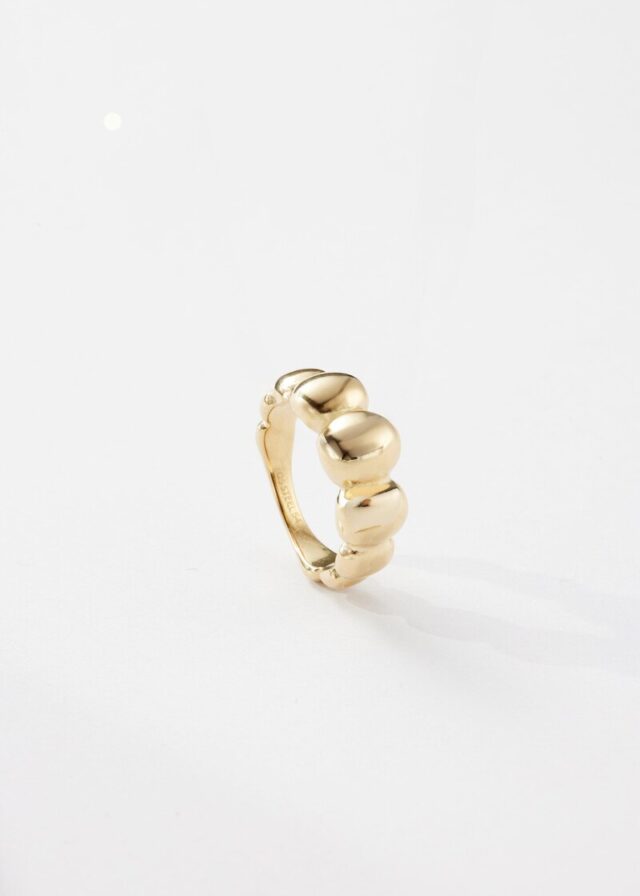 Edelstahlring IP Gold