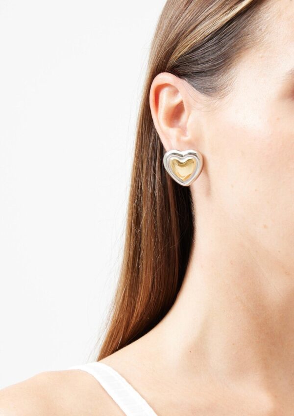 Herzförmige Edelstahlohrringe in Bicolor-Optik